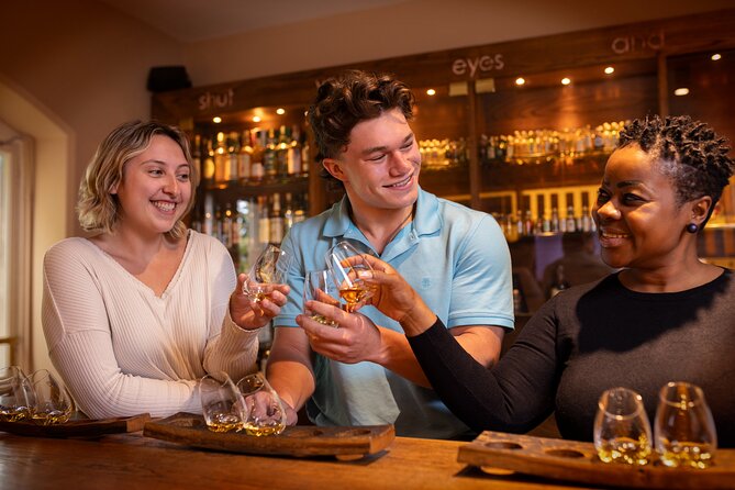 Dublin Irish Whiskey Museum and Gallery Guided Tour with Tasting - Key things to know before you go