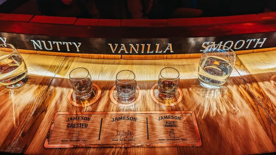 Dublin: Jameson Whiskey Distillery Tour with Tastings - Price and value: is $35 for a whiskey tour in Dublin a fair deal?