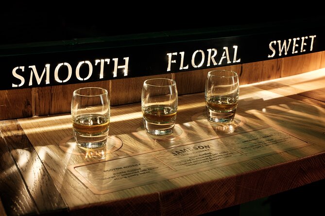 Dublin Private Guinness and Jameson Whiskey Tour with Transfers - Who this tour is best for (and who should think twice)
