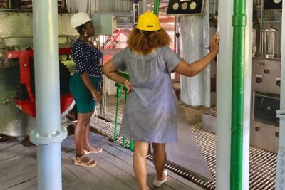 Eastern Tours/ Mt. Carmel Falls / Laura Spice Tour / Clarke's Court Distillery - Laura’s Herb & Spice Garden: Nutmeg Learning and Seasonal Fruit Tasting