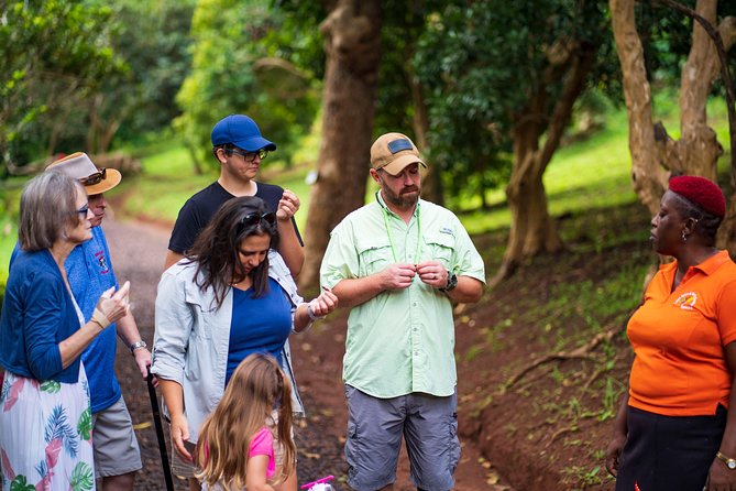 Eastern Tours/ Mt. Carmel Falls / Laura Spice Tour / Clarke's Court Distillery - How the Timing Fits: A 6-Hour Port Day With the Rest of Your Time Free