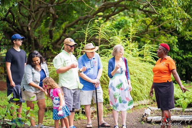 Eastern Tours/ Mt. Carmel Falls / Laura Spice Tour / Clarke's Court Distillery - Price and Value: What the $110 Covers and Where Costs Can Add Up