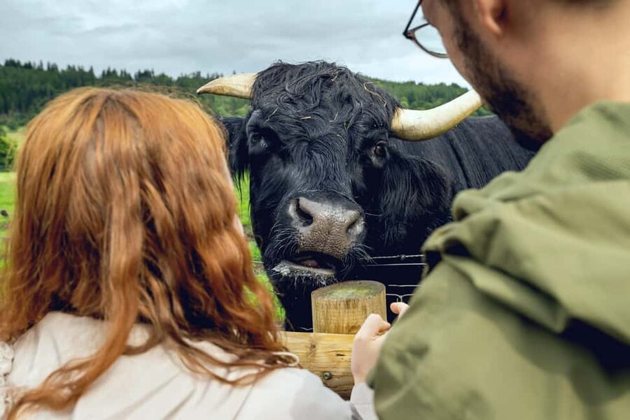 Edinburgh to Scottish Highlands: Whisky, Views & Hairy Coos - Morning drive: Kelpies, Stirling views, and classic landmark framing