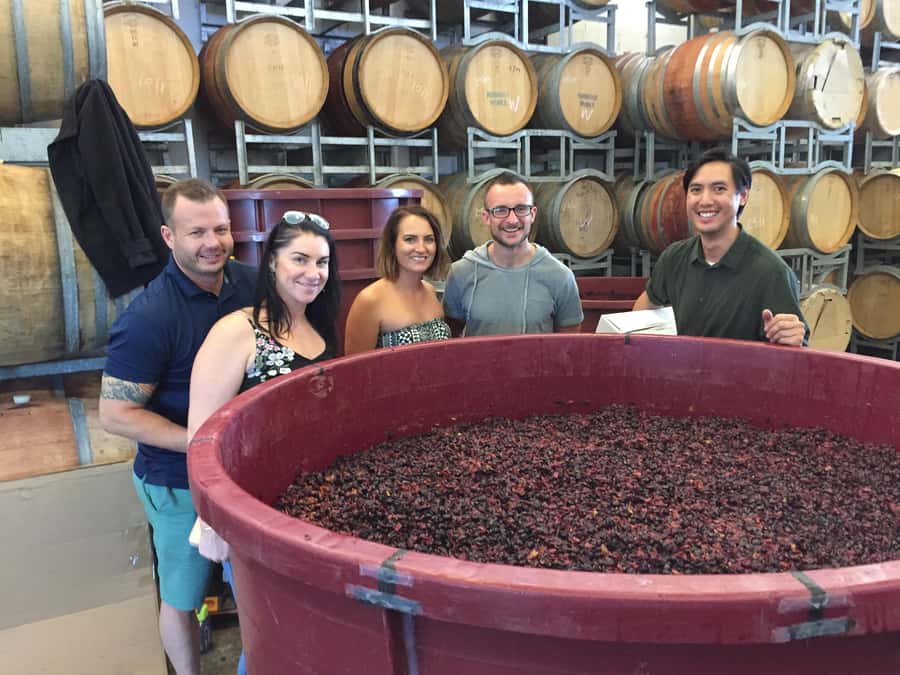 From Canberra: Winery, Distillery, & Tasting Tour with Lunch - A Small-Group Sip-and-Snack Day from Bentspoke Brewery