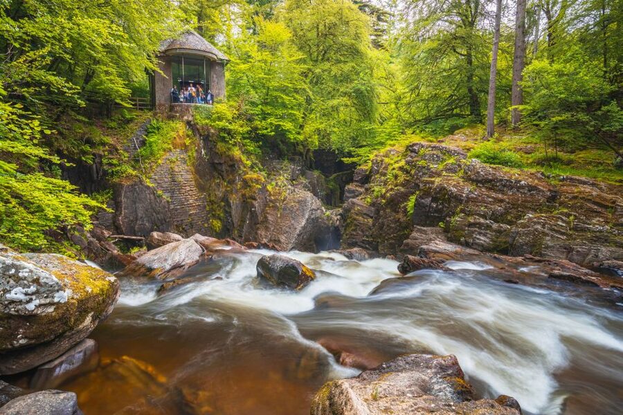 From Edinburgh: Full Day Scottish Highlands and Whisky Tour - Hermitage Forest and Black Linn Falls: the calm nature break