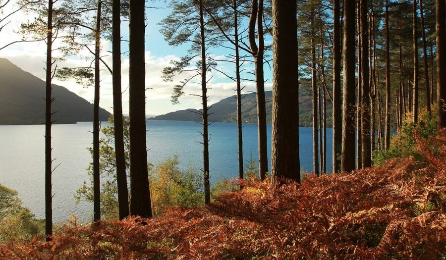 From Glasgow: Whisky and Loch Lomond Tour with Admissions - Should you book?