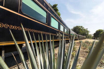 From Guadalajara: La Rojeña Distillery & Jose Cuervo Train - The UNESCO agave stop and jimador lesson: small moment, big meaning