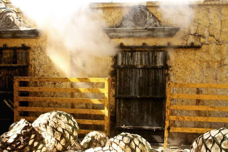 From Guadalajara: La Rojeña Distillery & Jose Cuervo Train - Who should book this tour (and who should skip it)