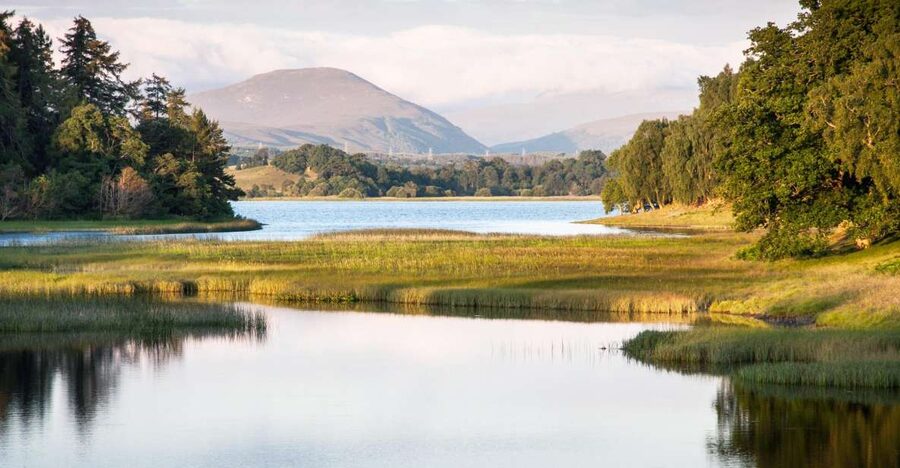 From Inverness: Cairngorms National Park and Whisky Tour - Key Things That Make This Tour Worth Your Day