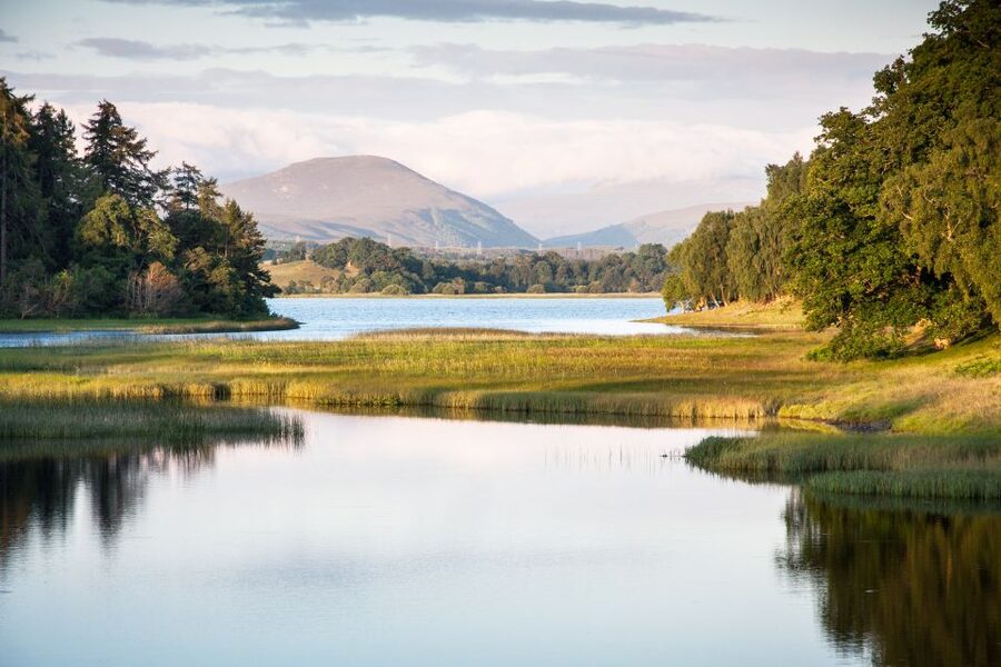 From Inverness: Cairngorms National Park and Whisky Tour - From Inverness to the Cairngorms: Why This Day-Trip Works