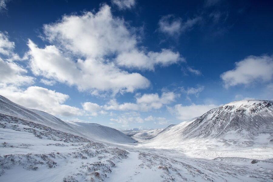 From Inverness: Cairngorms National Park and Whisky Tour - Carrbridge and the Old Packhorse Bridge Break
