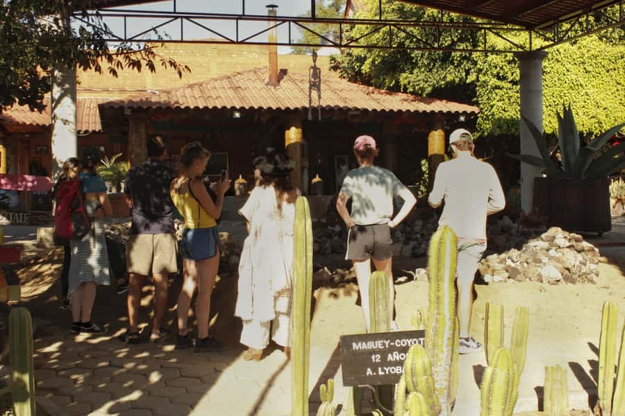 From Oaxaca de Juarez: Hierve el Agua and Mezcal Distillery - Key highlights worth planning around