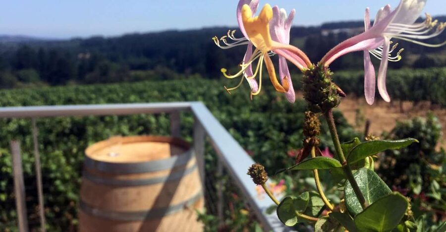 From Portland: Willamette Valley Wine & Whisky - The Willamette Valley AVA lesson: how it shows up in tastings