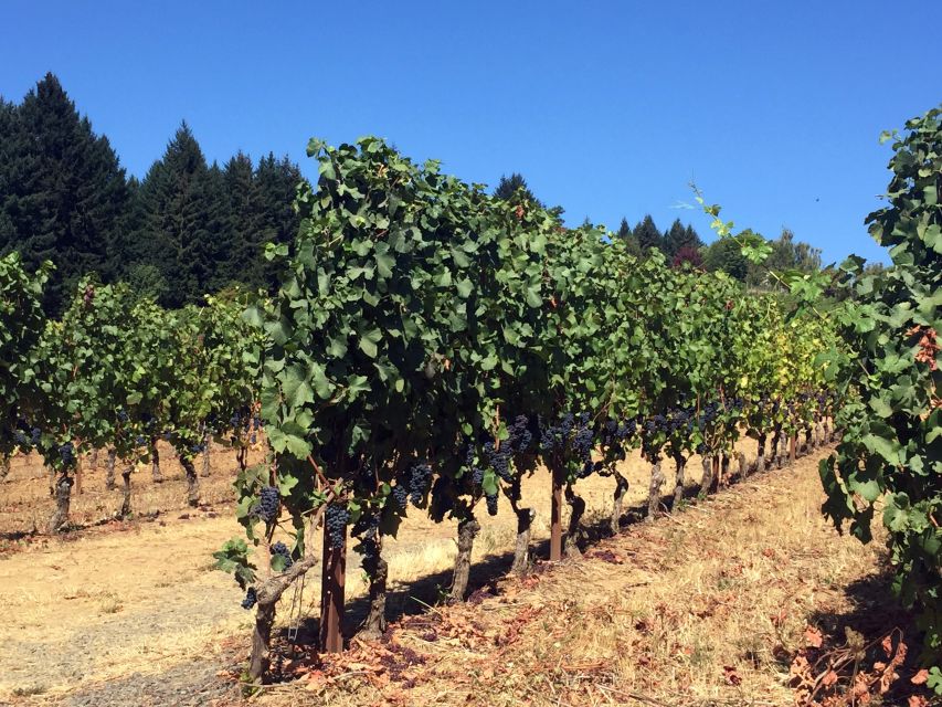 From Portland: Willamette Valley Wine & Whisky - The distillery stop: where whisky enters the conversation