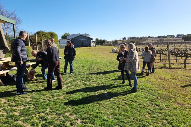 Full-Day Canberra Brewery, Wineries & Distillery tour /w lunch - Four Winds Vineyard: pizza lunch plus a playful tasting pace