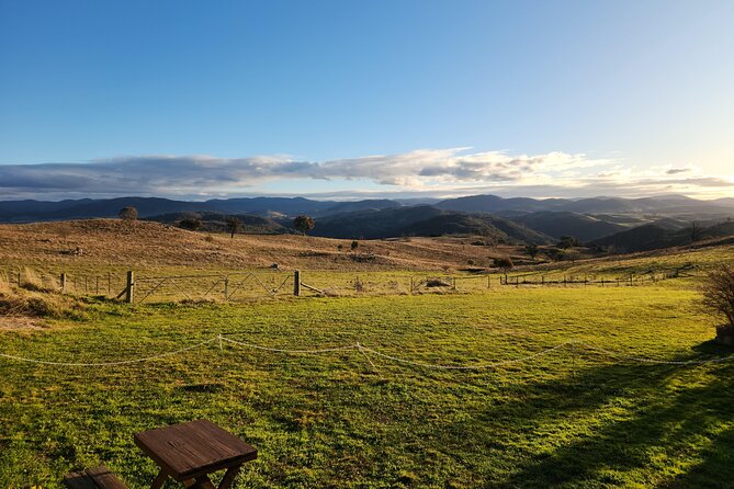 Full-Day Canberra Brewery, Wineries & Distillery tour /w lunch - Ambrosia Distillery: the gin-and-vodka tasting centerpiece