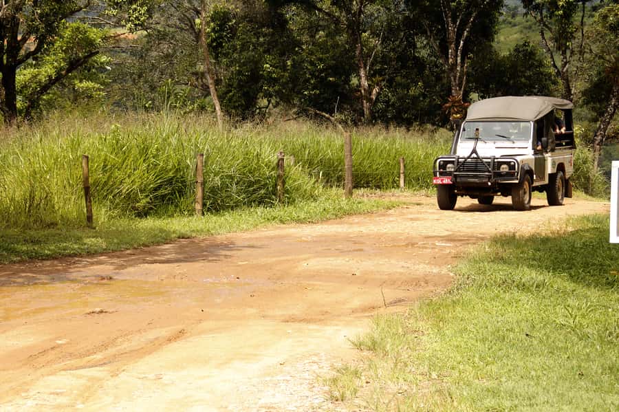 Full-Day Jungle Jeep Waterfall and Cachaça Distillery Tour - Key things that make this tour worth your time