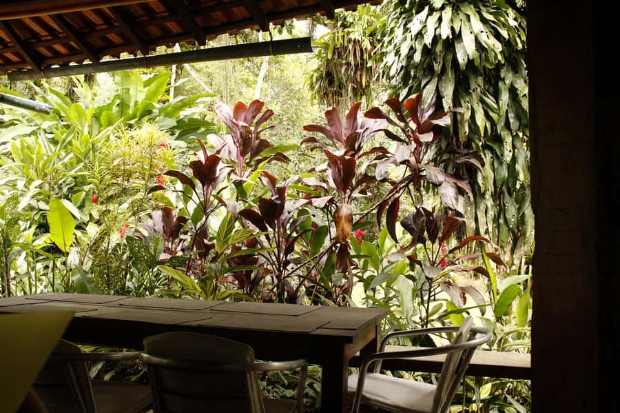 Full-Day Jungle Jeep Waterfall and Cachaça Distillery Tour - Who this tour fits best