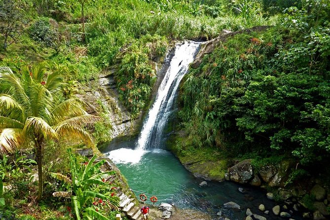 Full-Day Tour: Concord Waterfall, Chocolate Factory, Rum Distillery, Grand Etang - The best parts of Concord Falls, chocolate, rum, and Grand Etang