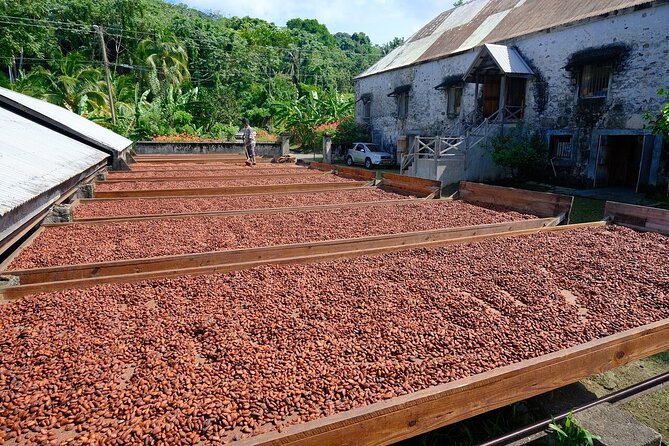 Full-Day Tour: Concord Waterfall, Chocolate Factory, Rum Distillery, Grand Etang - Price and value: what you’re really paying for