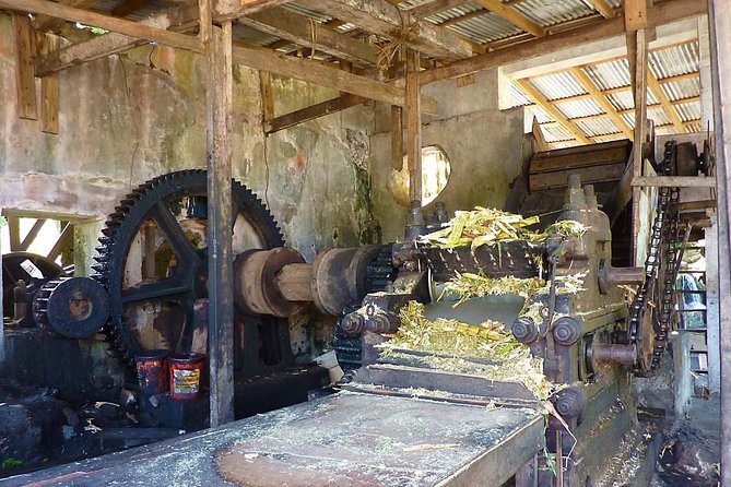 Full-Day Tour: Concord Waterfall, Chocolate Factory, Rum Distillery, Grand Etang - Stop 4: River Antoine Estate Rum Distillery and the old-school process