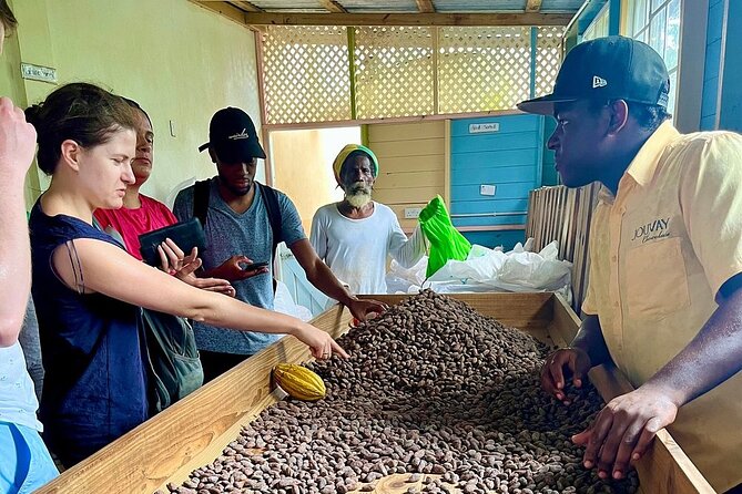 Full-Day Tour: Concord Waterfall, Chocolate Factory, Rum Distillery, Grand Etang - Van rides, rocky roads, and how to make the day comfortable