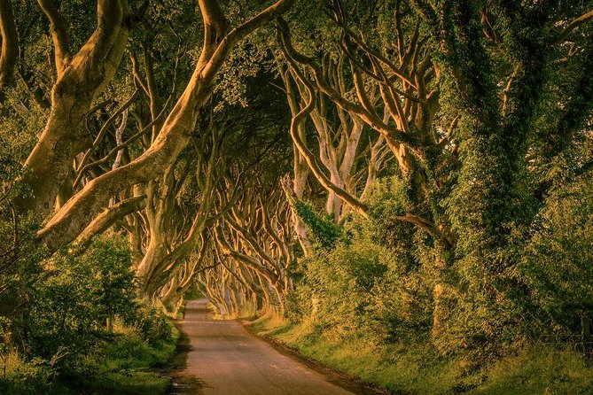 Giant Causeway, Dark Hedges & Whiskey Distillery tour from Dublin - Dunluce Castle on the Northern Atlantic: ruins with Game of Thrones links