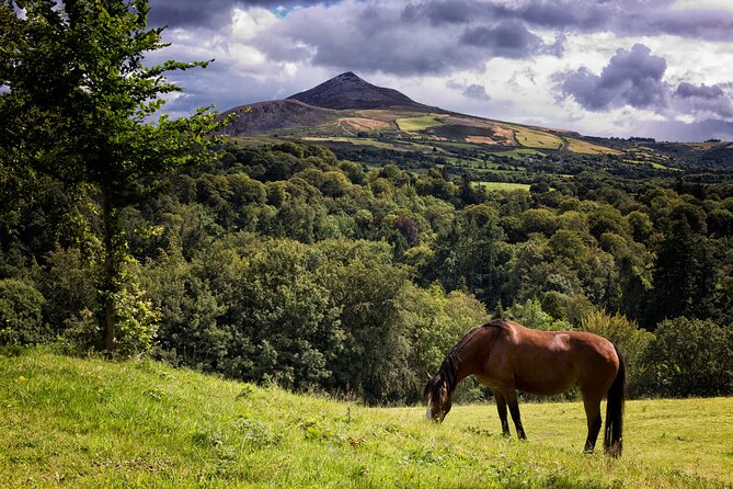 Glendalough and Powerscourt Distillery Ireland Whiskey Tour - Who this tour fits (and who should pass)