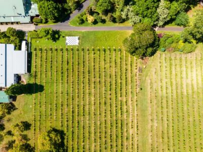 Gold Coast: Premium Wine Tour with Gourmet Lunch - Door-to-door pickup and the small-group pace (13 max)