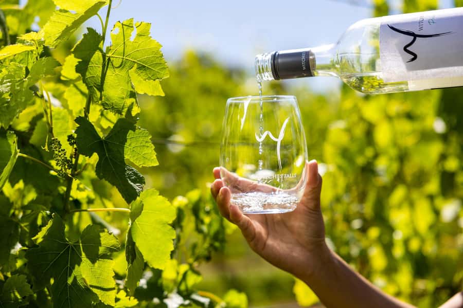 Gold Coast: Premium Wine Tour with Gourmet Lunch - Winery stop #2: longer tasting time and more opportunity to compare