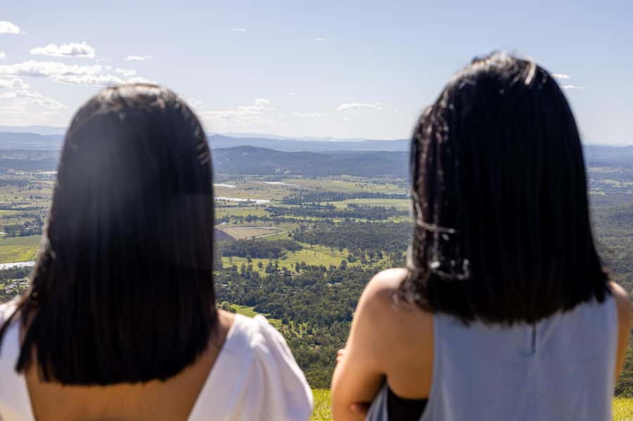 Gold Coast: Premium Wine Tour with Gourmet Lunch - Scenic viewpoints and the short sightseeing window