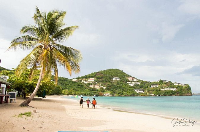 Grenada Express Tour - Annandale, Fort Fredrick, Rum Distillery & Beach Tour - Price and value: what $95 buys you in real terms