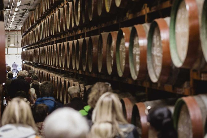 Guided Tour at Ron Arehucas Distillery - Key things I’d prioritize on this Ron Arehucas tour
