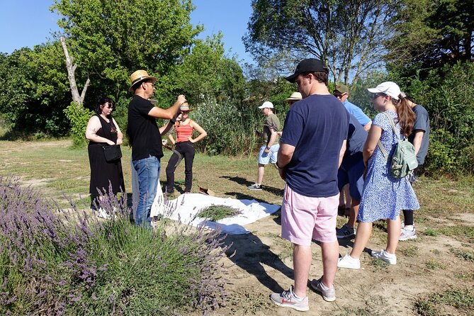 Guided tour Distillery of Lavender between Nîmes & Arles - The shop extension: personalized advice you can actually use