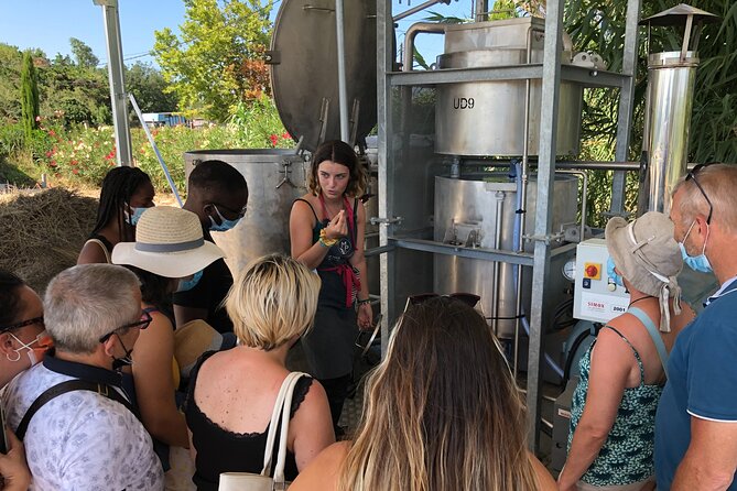 Guided tour Distillery of Lavender between Nîmes & Arles - Guide energy and language support (including English)