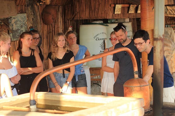 Guided tour of an ancestral Mezcal distillery with transport - The Mezcal 101 Start: What You Learn Before You Taste