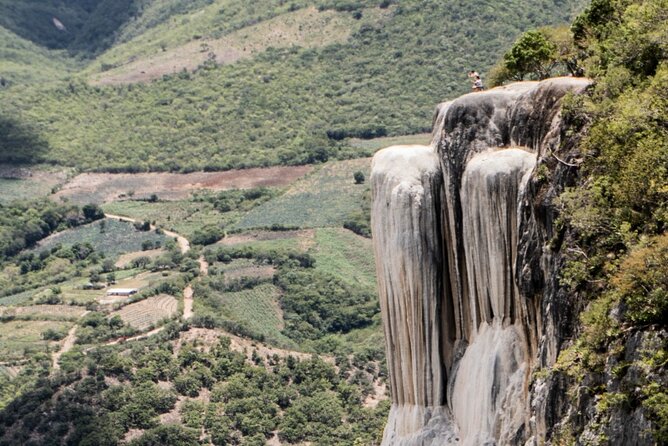 Hierve el Agua, Tule Tree, Mitla and Mezcal Distillery Tour - Key highlights worth planning around
