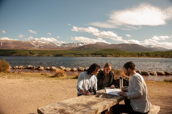 Highland Lochs, Glens & Whisky Day Tour Including Admission - The Hermitage: fir-lined paths, waterfall energy, and easy-to-enjoy walking