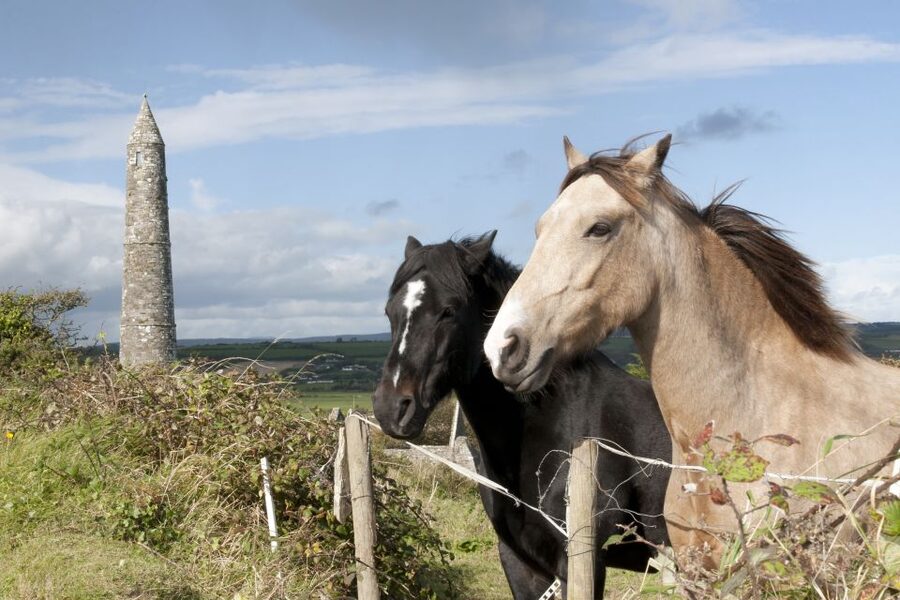 Ireland: Blarney Castle, Kilkenny & Irish Whiskey 3-Day Tour - Price and logistics: what you actually get for $788