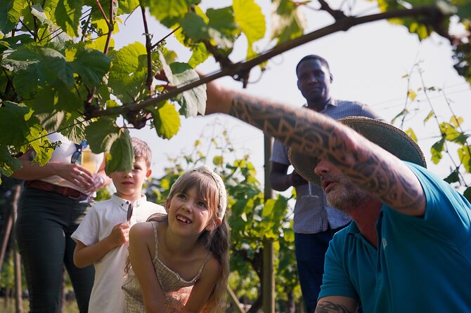 Jersey Premium Vineyard and Distillery Wine Tour and Tasting - Chocolate, fudge, biscuits, preserves: the sweet tour you didn’t know you’d want