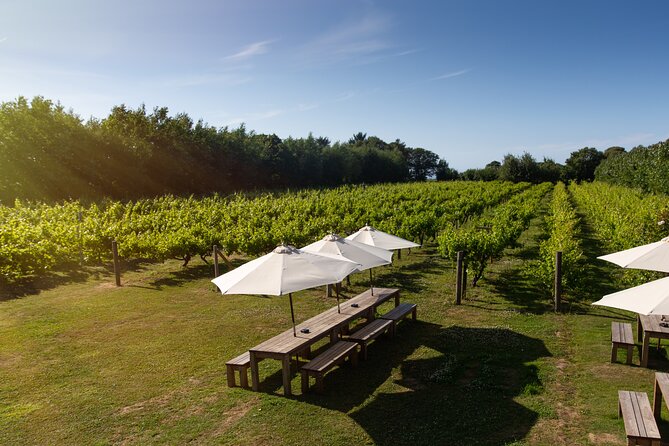 Jersey Premium Vineyard and Distillery Wine Tour and Tasting - Guides and group energy: what the best visits feel like