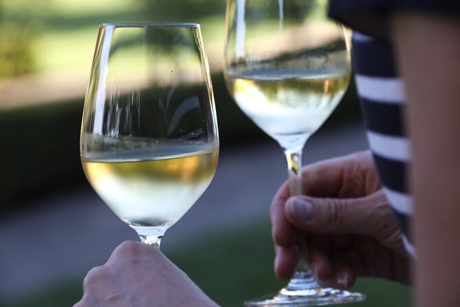 Knossos, Olive Grove, Winery - Distillery with Tastings & Lunch - Who should book Knossos, Olive Grove, Winery, and Raki