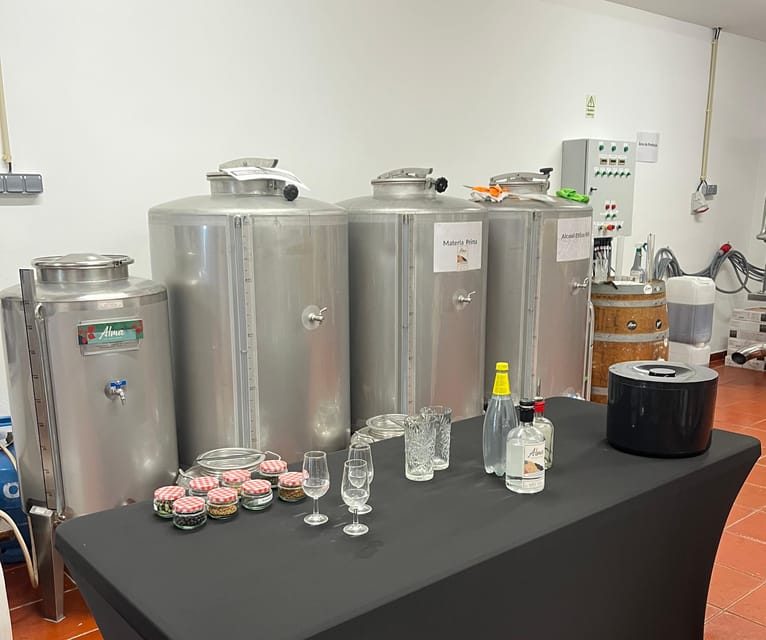 Lagos: Guided Gin Distillery Tour With Tasting at Alma Luz - Why the Botanicals Lesson Is the Real Value