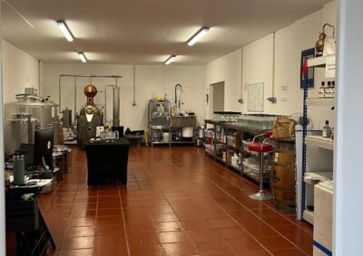 Lagos: Guided Gin Distillery Tour With Tasting at Alma Luz - The 1-Hour Flow: What Happens on the Tour