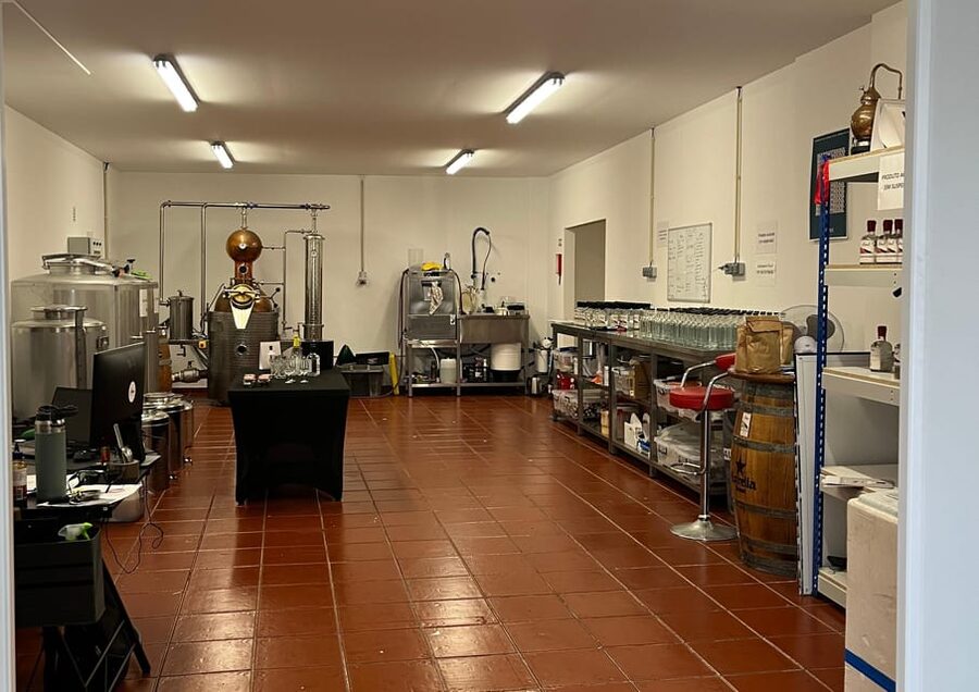 Lagos: Guided Gin Distillery Tour With Tasting at Alma Luz - The 1-Hour Flow: What Happens on the Tour