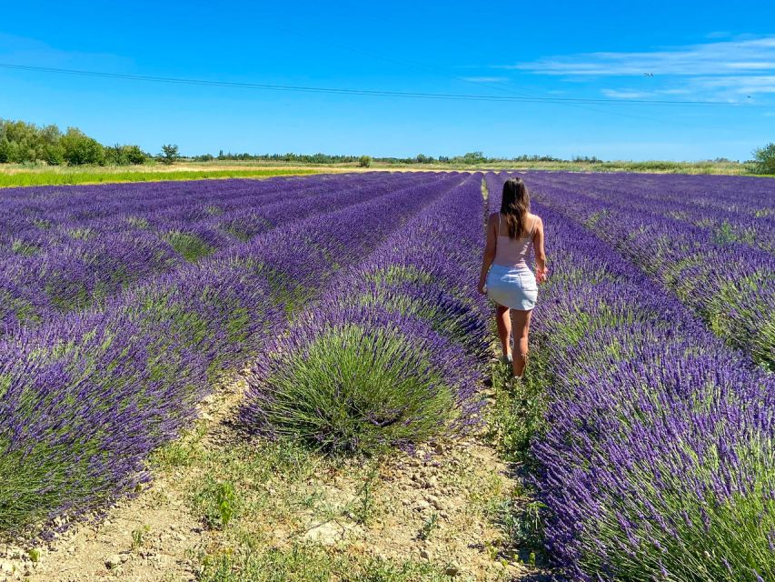 Lavender Field & Distillery Tour between Nimes & Arles - Getting There Between Arles and Nîmes: Car vs LIO Bus Line 130