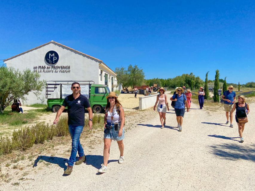 Lavender Field & Distillery Tour between Nimes & Arles - The Fields: Touch, Sniff, and Learn What Each Plant Is For