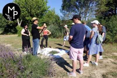 Lavender Field & Distillery Tour between Nimes & Arles - The Distillery Show: Watching Steam Turn Flowers into Oil