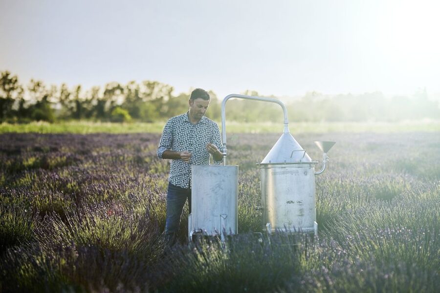 Lavender Field & Distillery Tour between Nimes & Arles - Watching the Still: How Steam Turns Flowers Into Oil