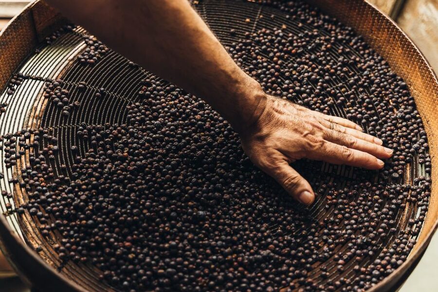 Mahón: Gin Distillery Tour with Tasting & Appetizers - Xoriguer in Mahón: what you’re really paying for